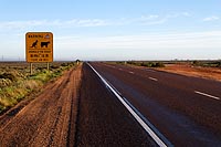 Australie experience : Stuart Highway